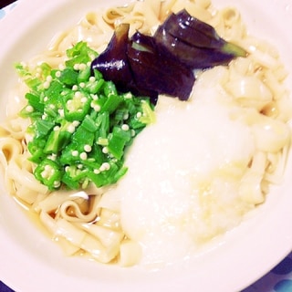 うどんみたいな食感 ！ネバネバと茄子のせ